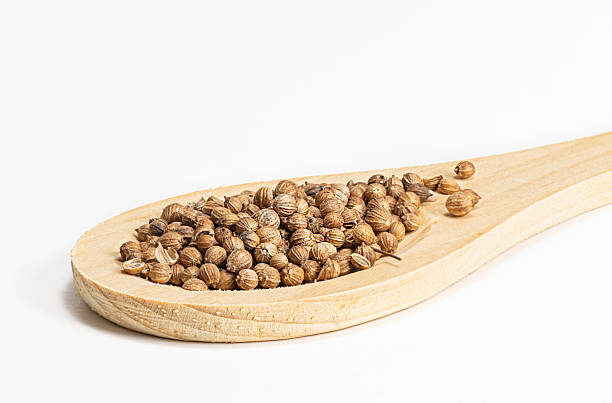 تصویر 3 از قیمت خرید تخم گشنیز ترد + فروش ویژه